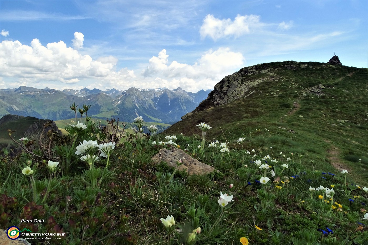 42 Tra anemoni narcissini vista sul Monte Foppa (1897 m).JPG -                                